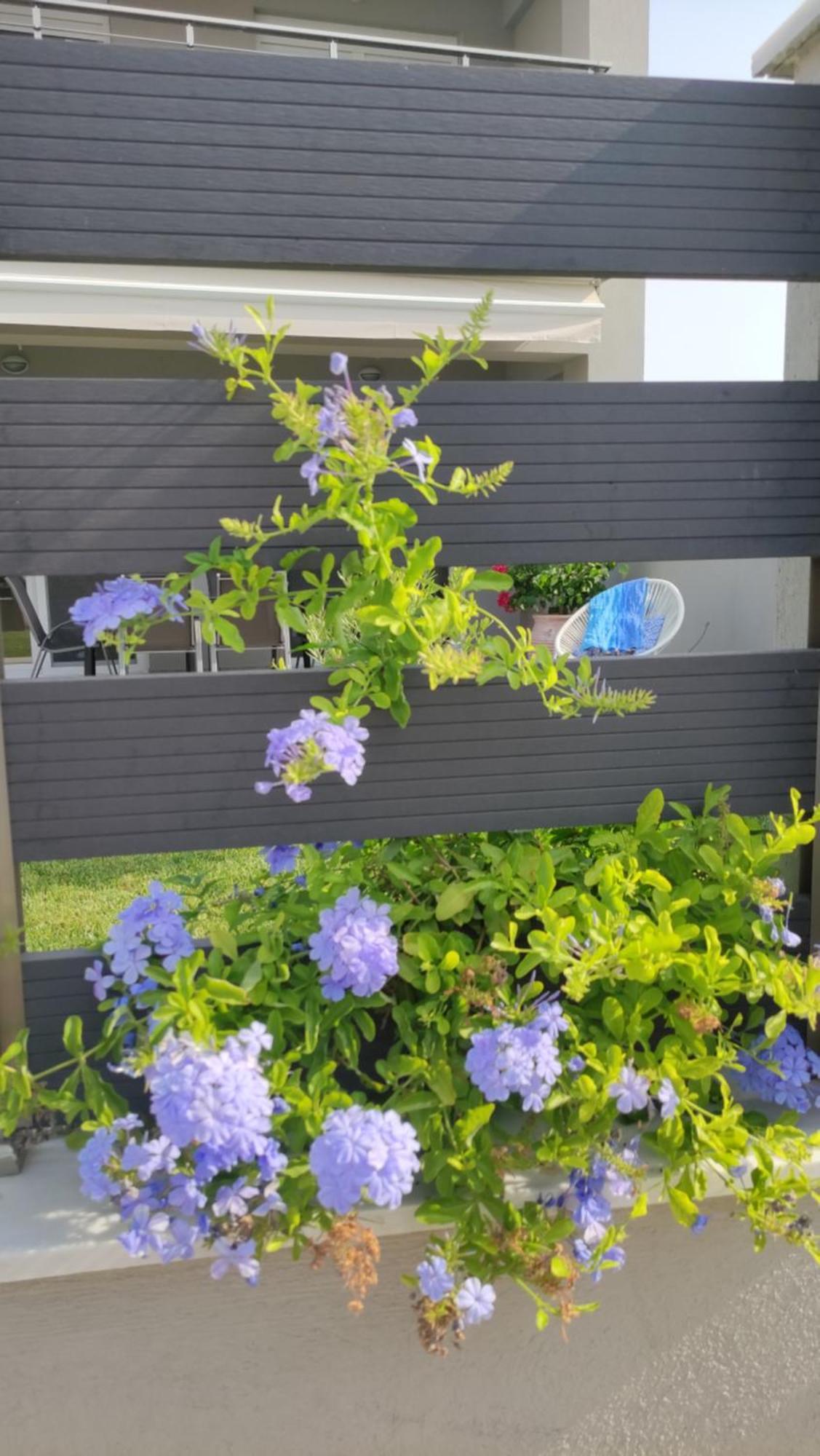 To Helidoni Apartment & Gardens 尼基季 外观 照片